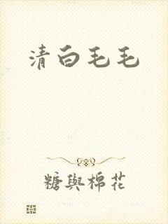 清白毛毛