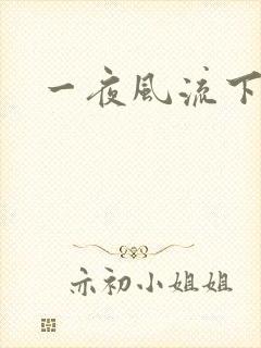一夜风流下载