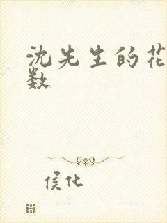 沈先生的花式调数