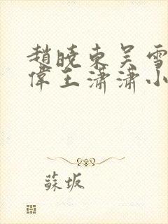 赵晓东吴雪晴郑伟王潇潇小说名字