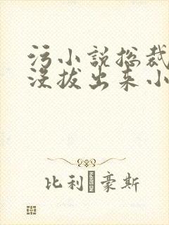 污小说总裁整夜没拔出来小说在线阅读