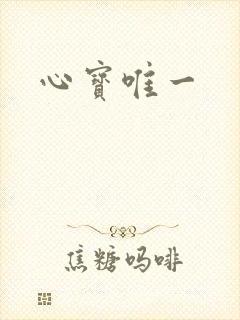 心宝唯一