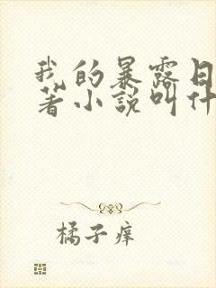 我的暴露日记原著小说叫什么