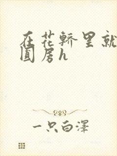 在花轿里就开始圆房h