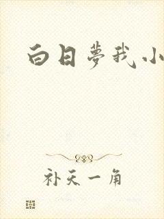 白日梦我小说