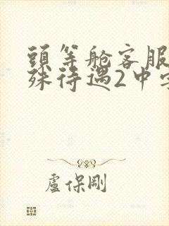 头等舱客服的特殊待遇2中字