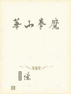 华山拳魔