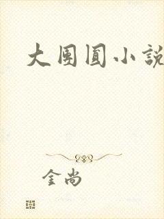 大团圆小说
