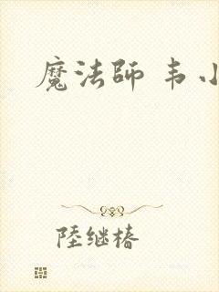 魔法师 韦小宝