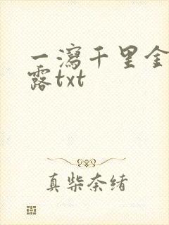 一泻千里金银花露txt