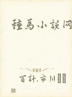 种马小说网