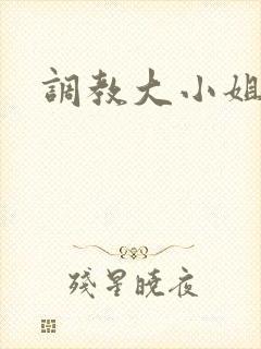 调教大小姐