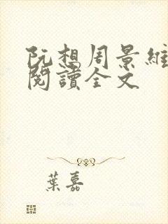 阮想周景维免费阅读全文