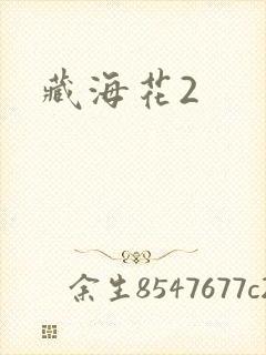 藏海花2