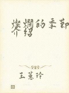 灿烂的季节剧情介绍