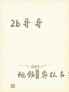2b哥哥