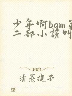少年啊bgm第二部小说叫什么
