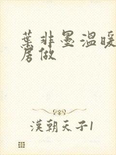 叶非墨温暖在厨房做