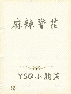 麻辣警花