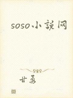 soso小说网
