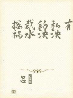 总裁的私有宝贝祸水泱泱