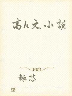 高h文小说