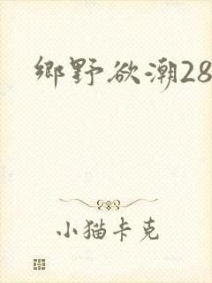 乡野欲潮28章