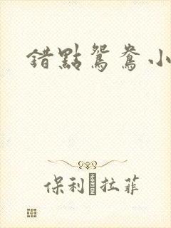 错点鸳鸯小说