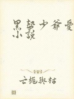黑帮少爷爱上我小说