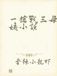 一枪战三母2雪姨小说