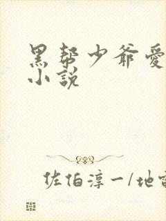黑帮少爷爱上我小说