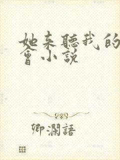 她来听我的演唱会小说