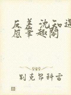 反差 沈知遇晏应笔趣阁