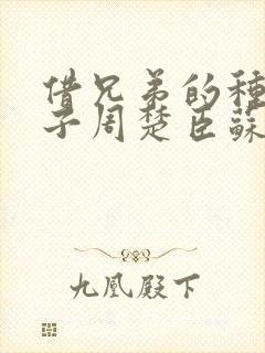 借兄弟的种生孩子周楚臣苏糖