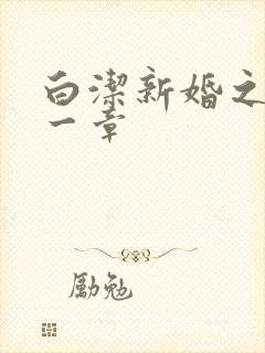 白洁新婚之夜第一章