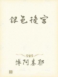 银色后宫