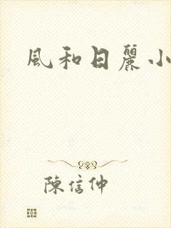 风和日丽小说