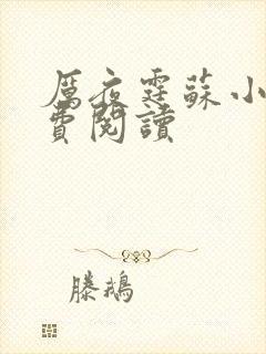 厉夜霆苏小汐免费阅读