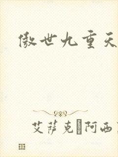 傲世九重天小说