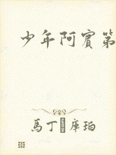 少年阿宾第二部