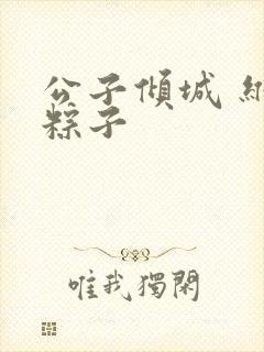 公子倾城 维和粽子