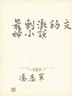 最刺激的交换夫妇小说