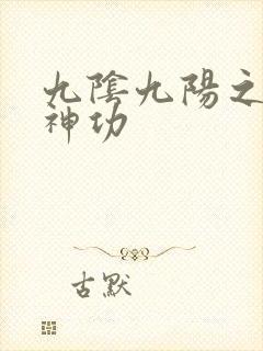 九阴九阳之阴阳神功
