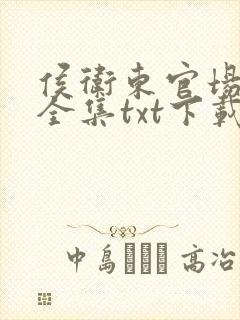 侯卫东官场笔记全集txt下载