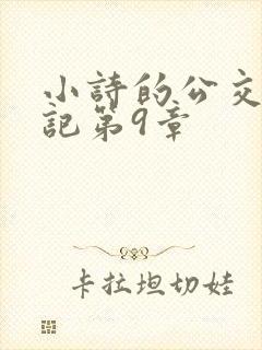 小诗的公交车日记第9章