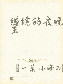 缠绕的夜晚双男主