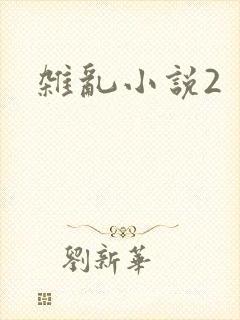 杂乱小说2