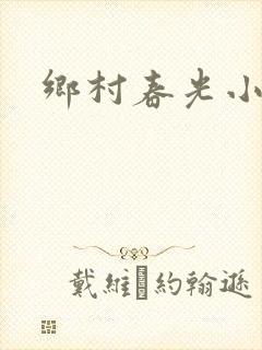 乡村春光小说