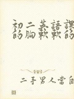 初二英语课代表的胸软软的