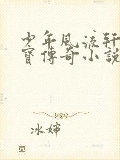 少年风流轩辕大宝传奇小说